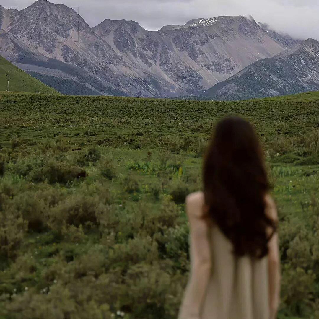 天天在做花痴梦