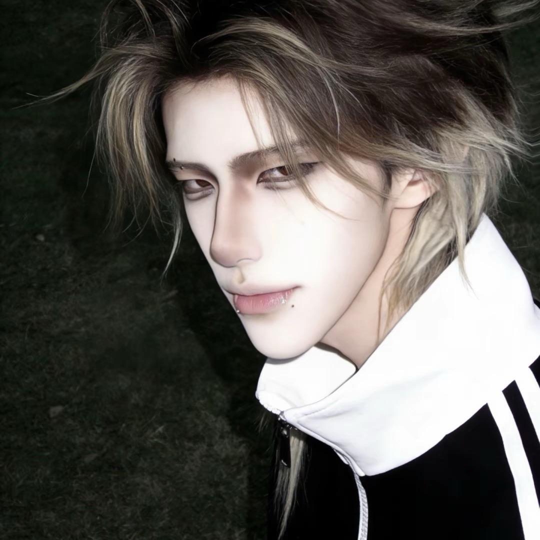 俺的帅无人能敌