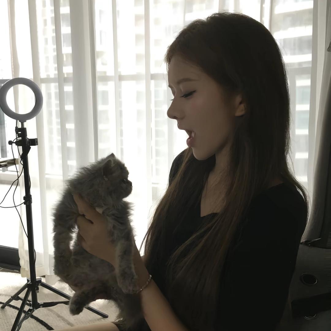 别碰我的齐刘海