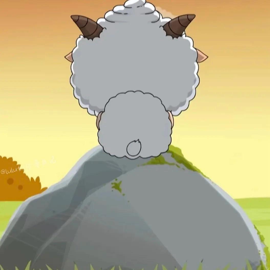 米多儿（晓晓）