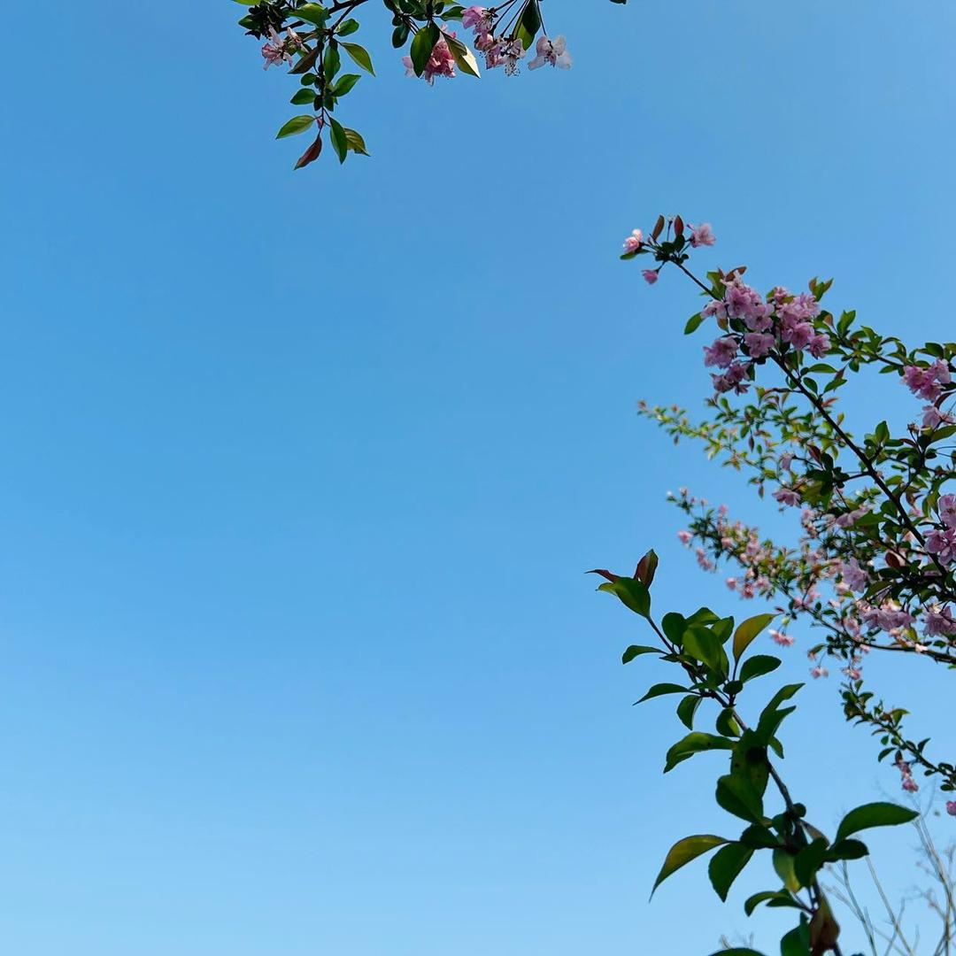 空中迪斯科