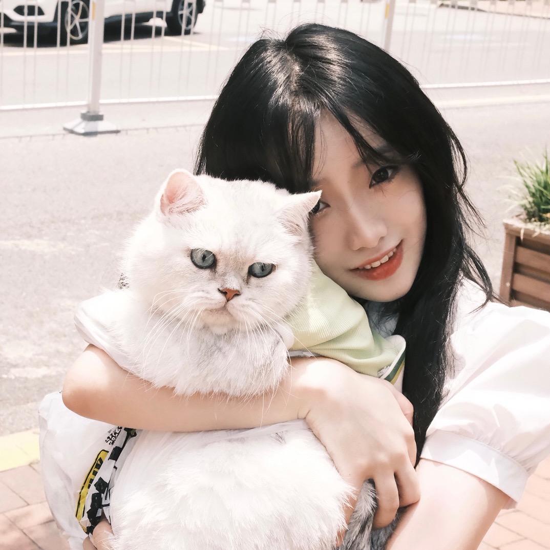 猫灵