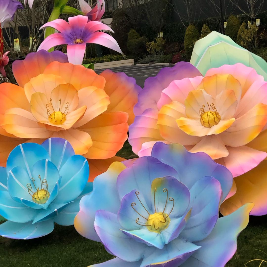 静待花开！