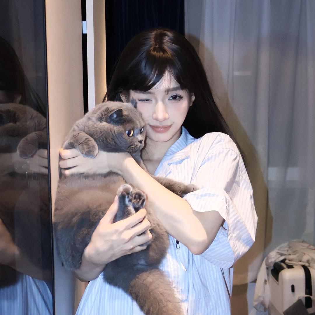 橘子莱莱