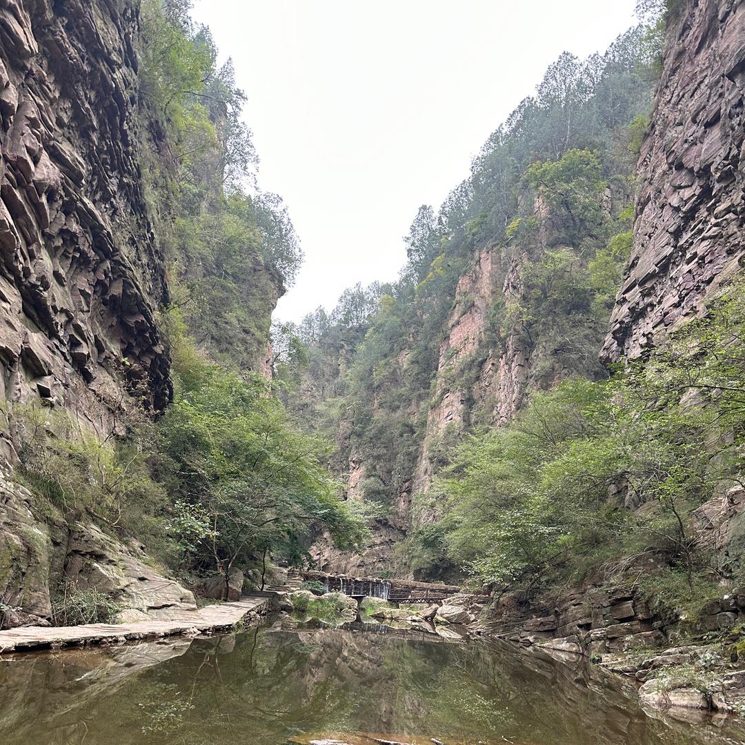 王屋小白