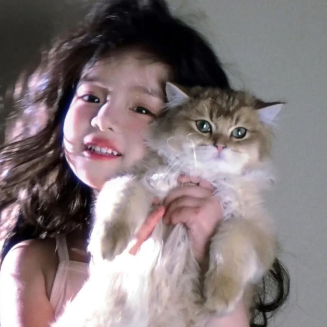 偷梁换猪猪╭(╯ε╰)╮