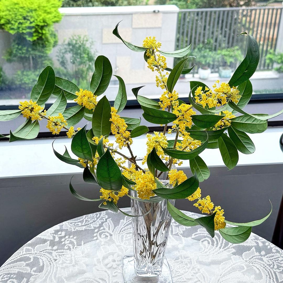愉悦