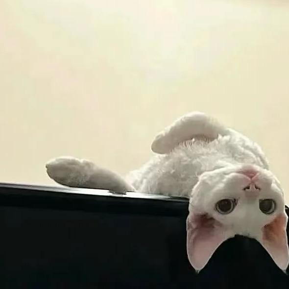 悠乐YoIo.