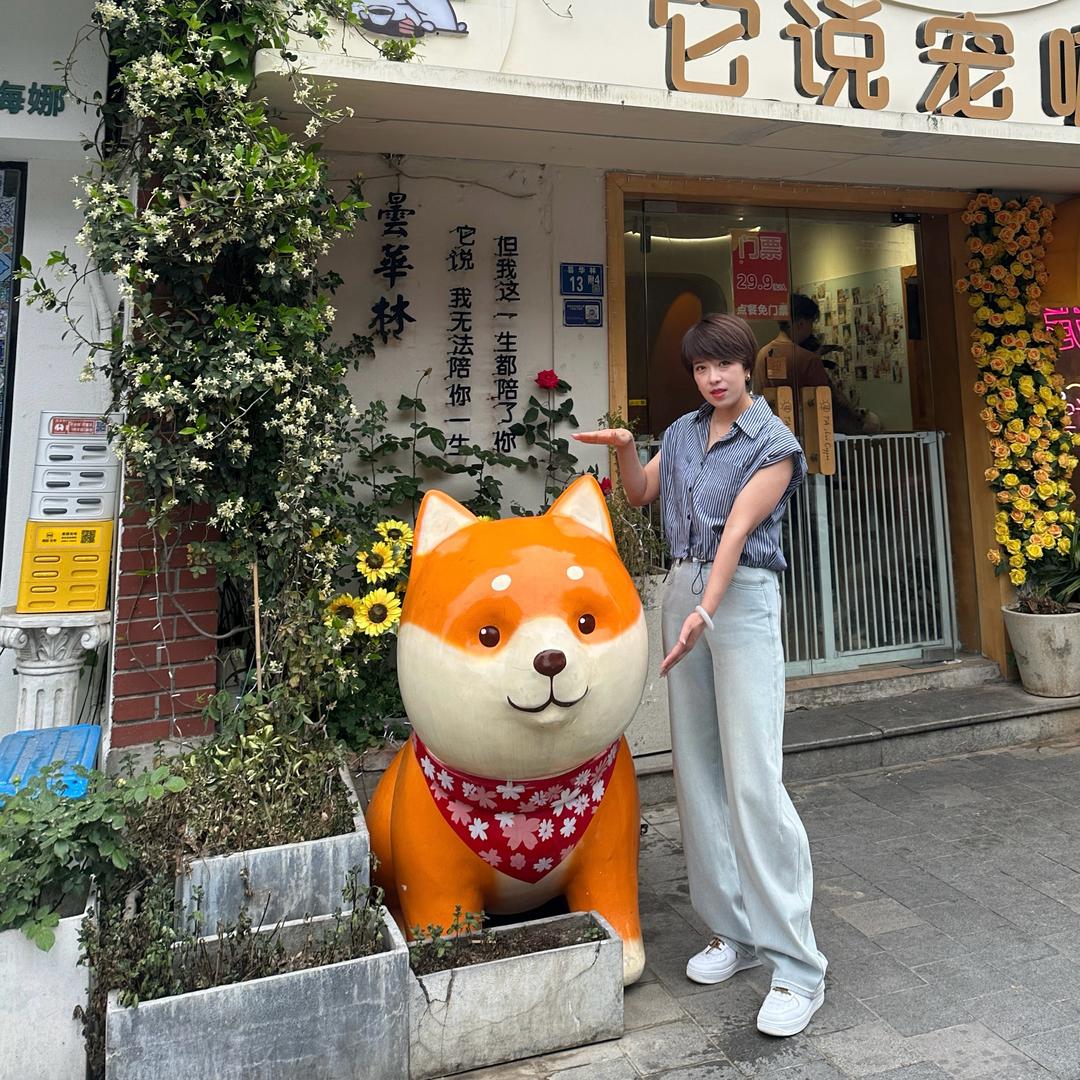 永恒诺燕