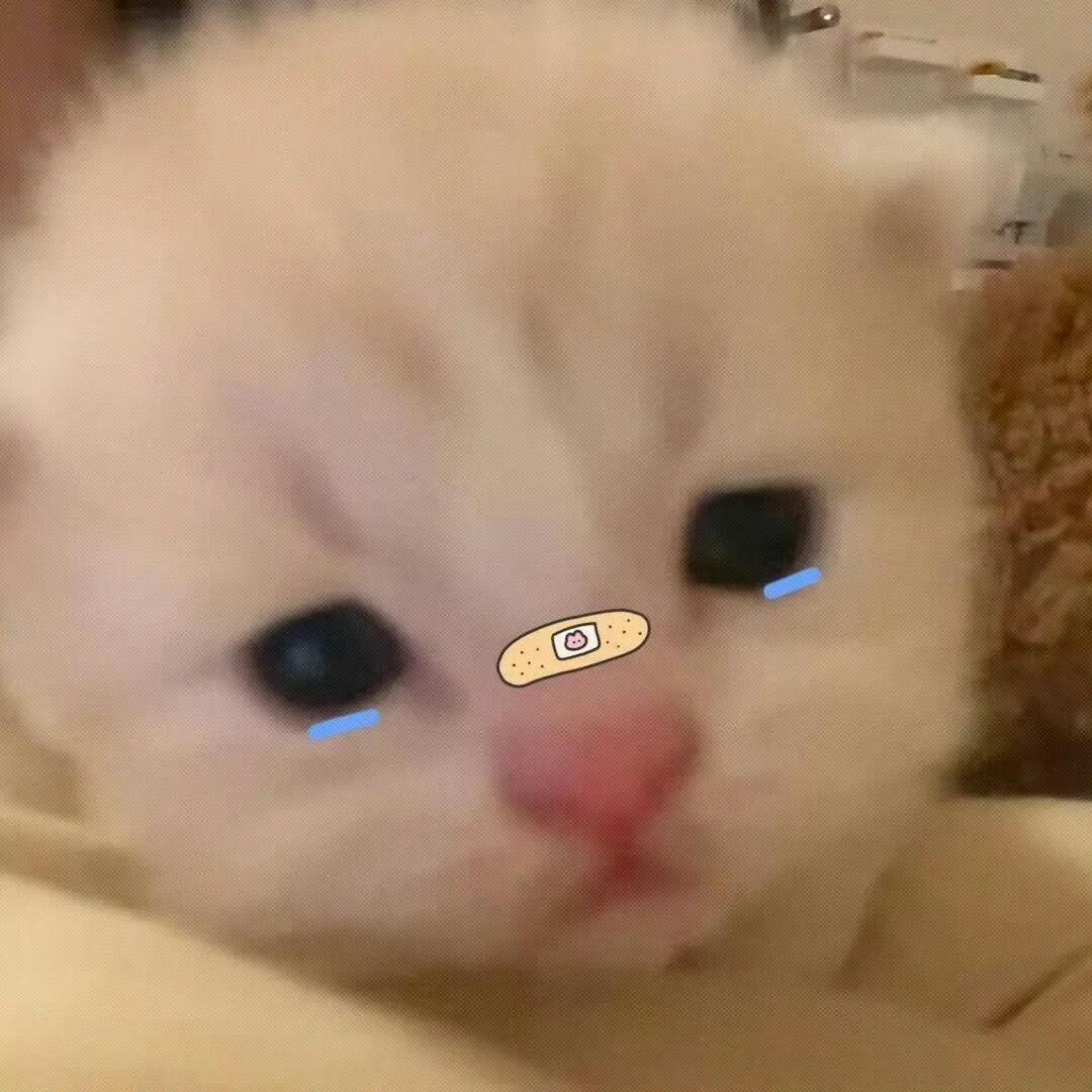 吃个雪糕