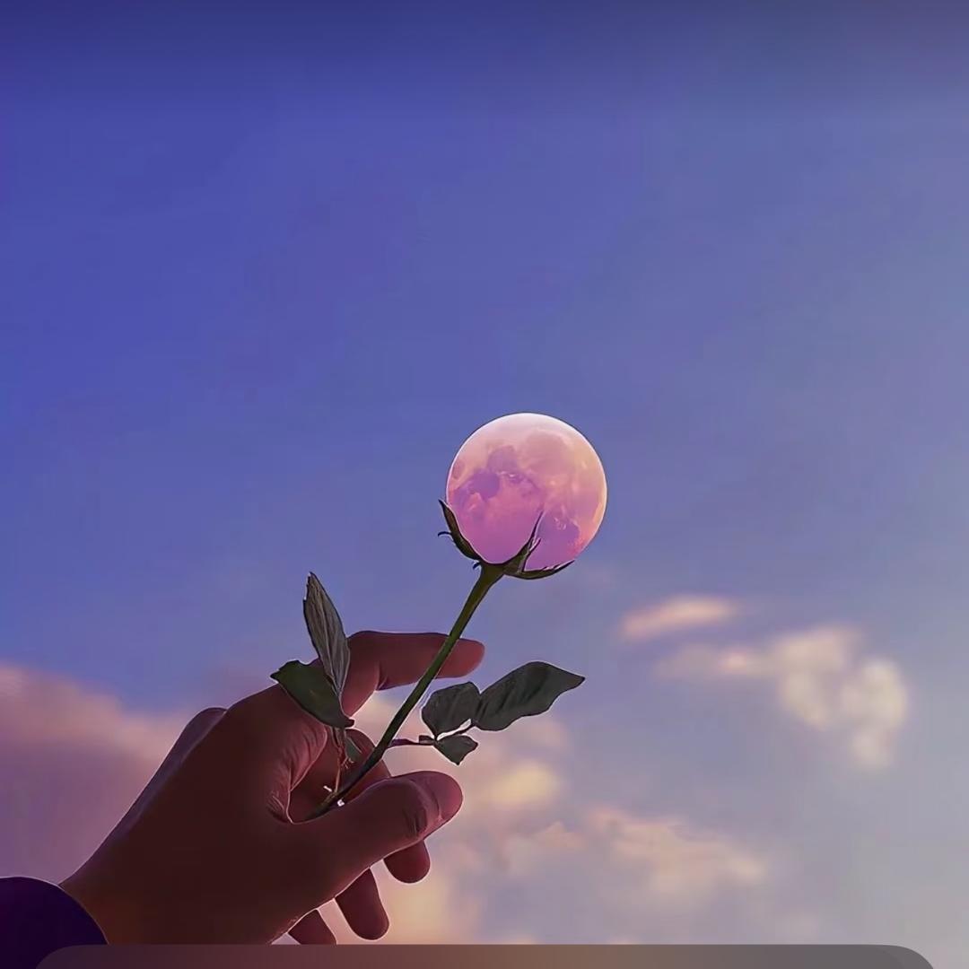 海屿你᭄ྀིꦿ