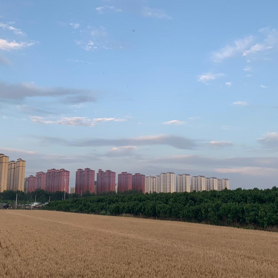 马尔积木
