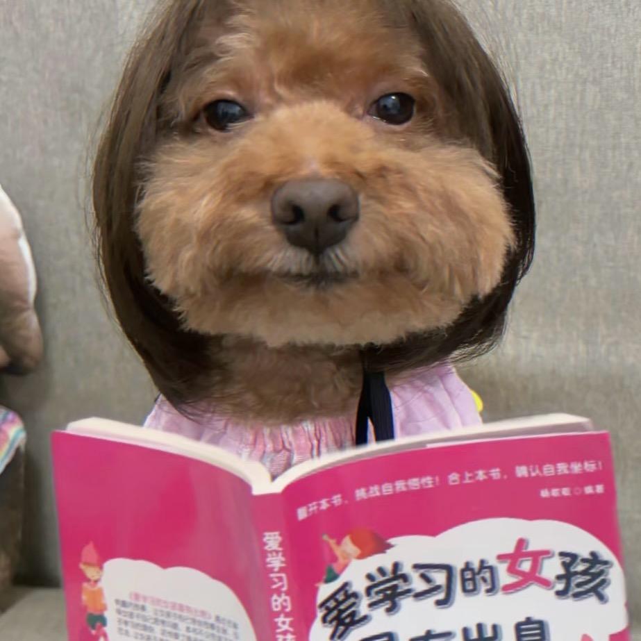 qq加辣土豆饼
