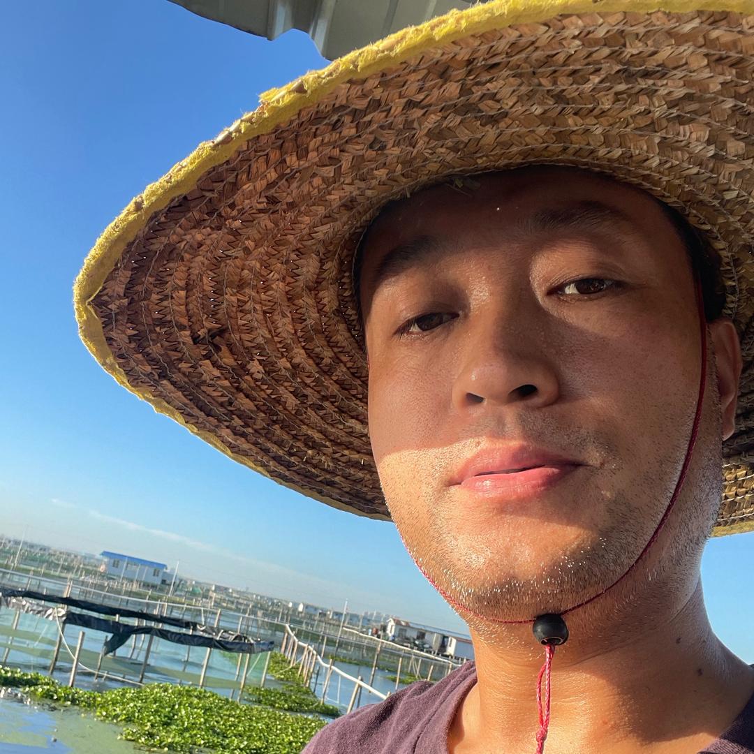 阳澄湖养蟹炒股振哥