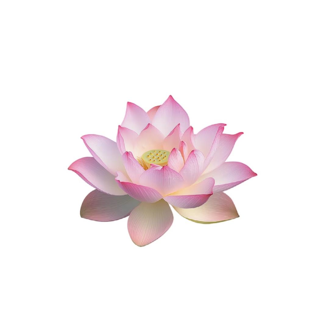 老王