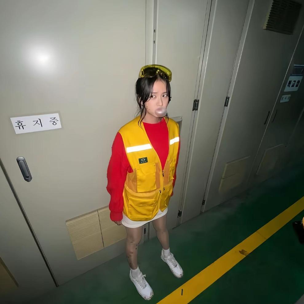 风信子.
