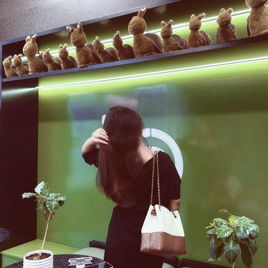 风吹散了执念