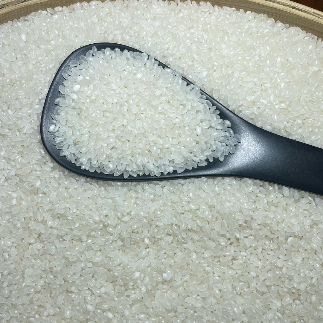 我家大米馋哭小孩