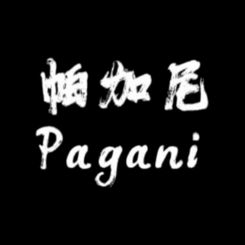 广州帕加尼Pagani电子商务