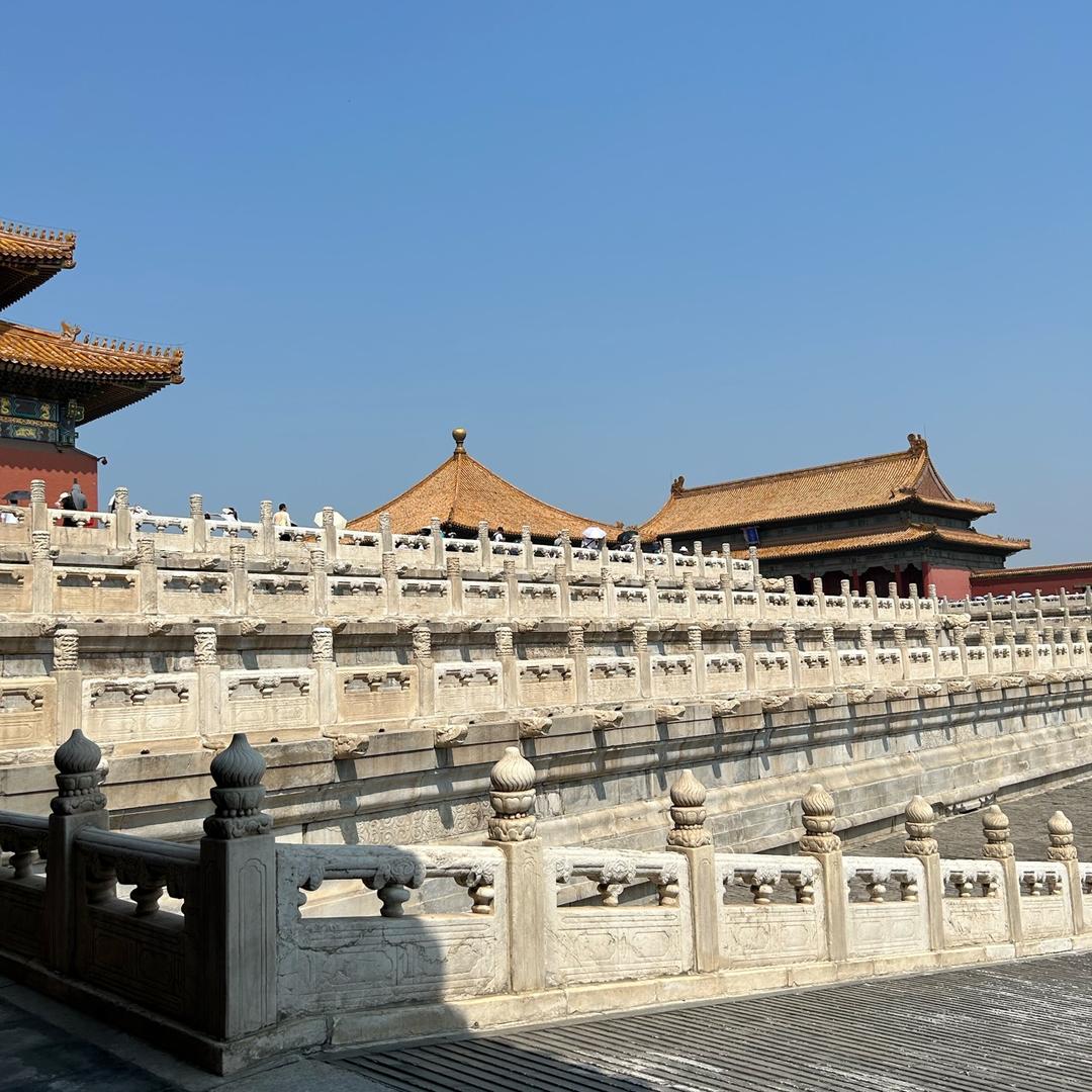 蕾姐的菜谱-宜物优品