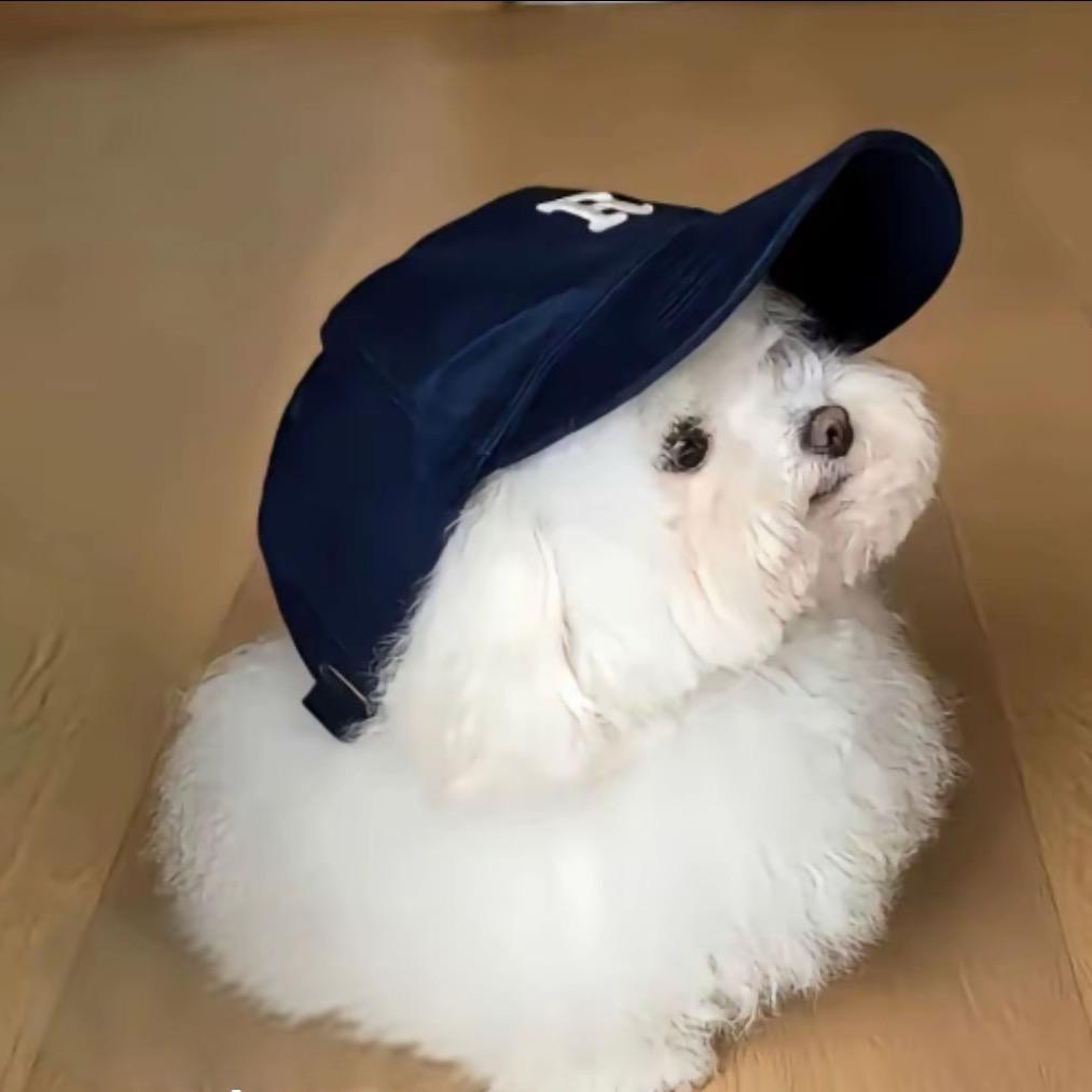明天不再熬夜
