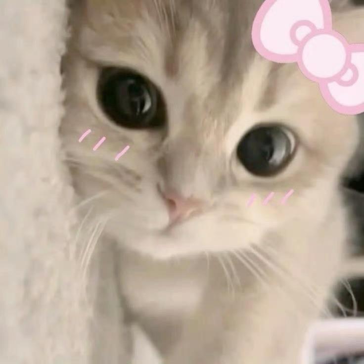 走一圈啦走一圈