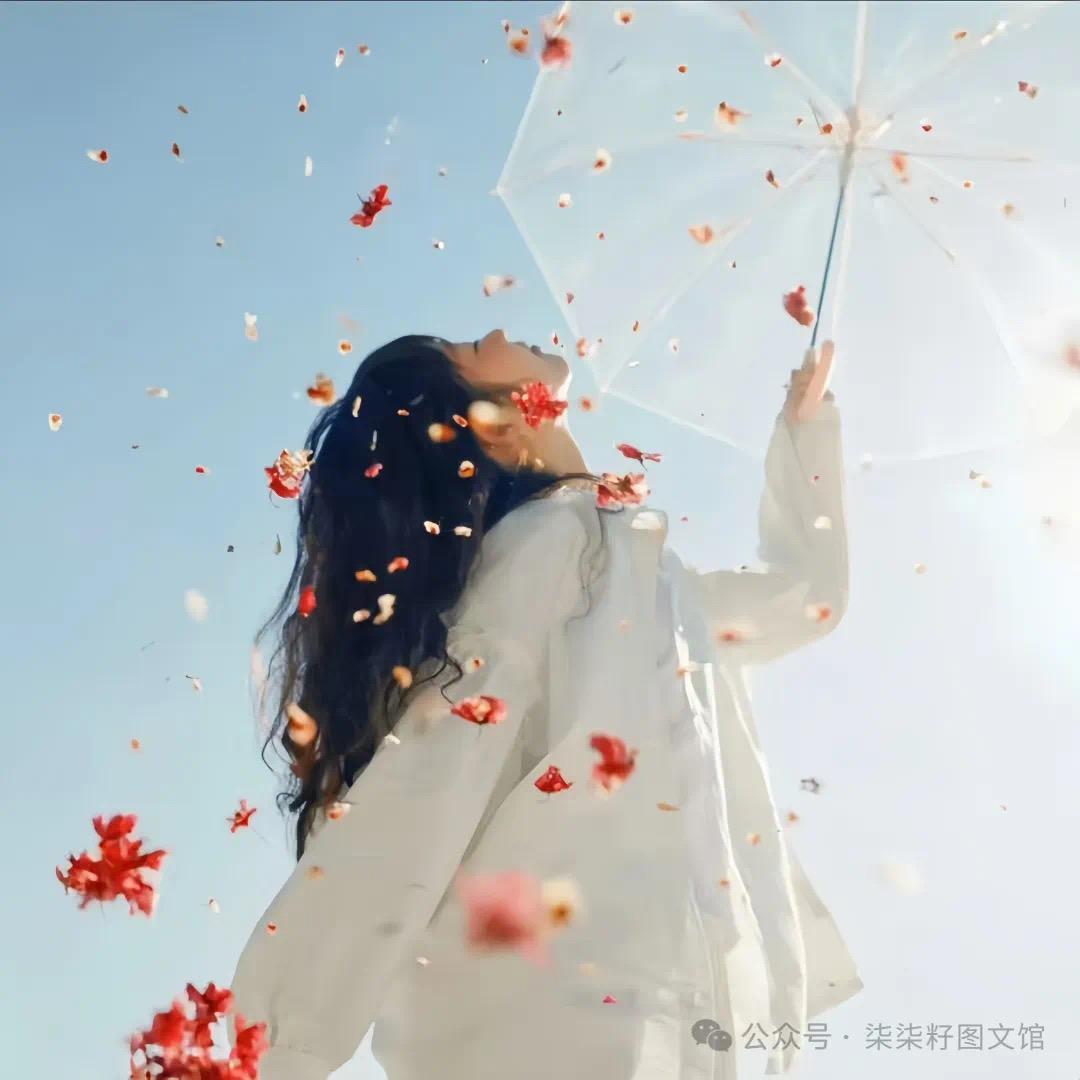 -镜心-