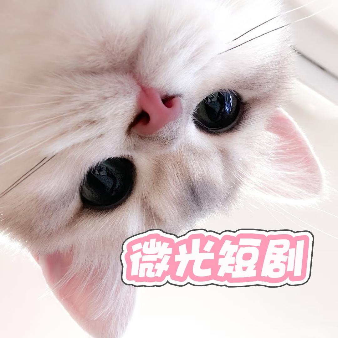 博士之星