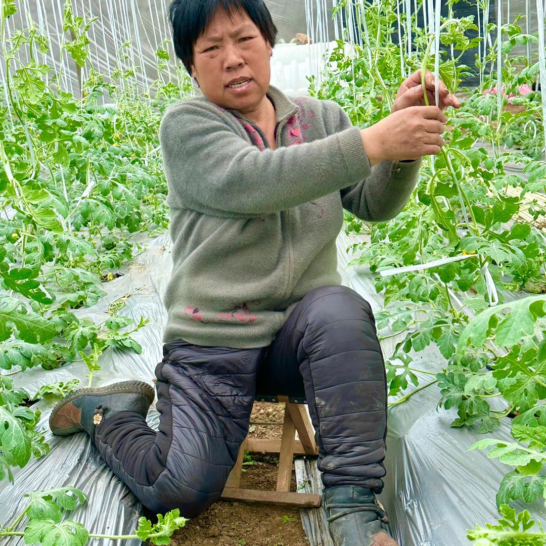 三娘种植农场