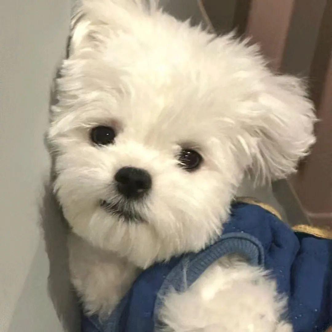 ㅤㅤㅤ