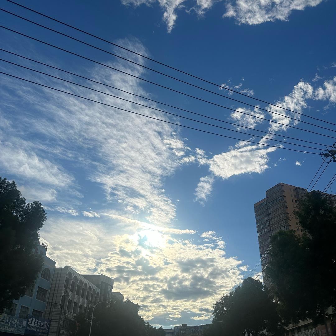 陈老狗