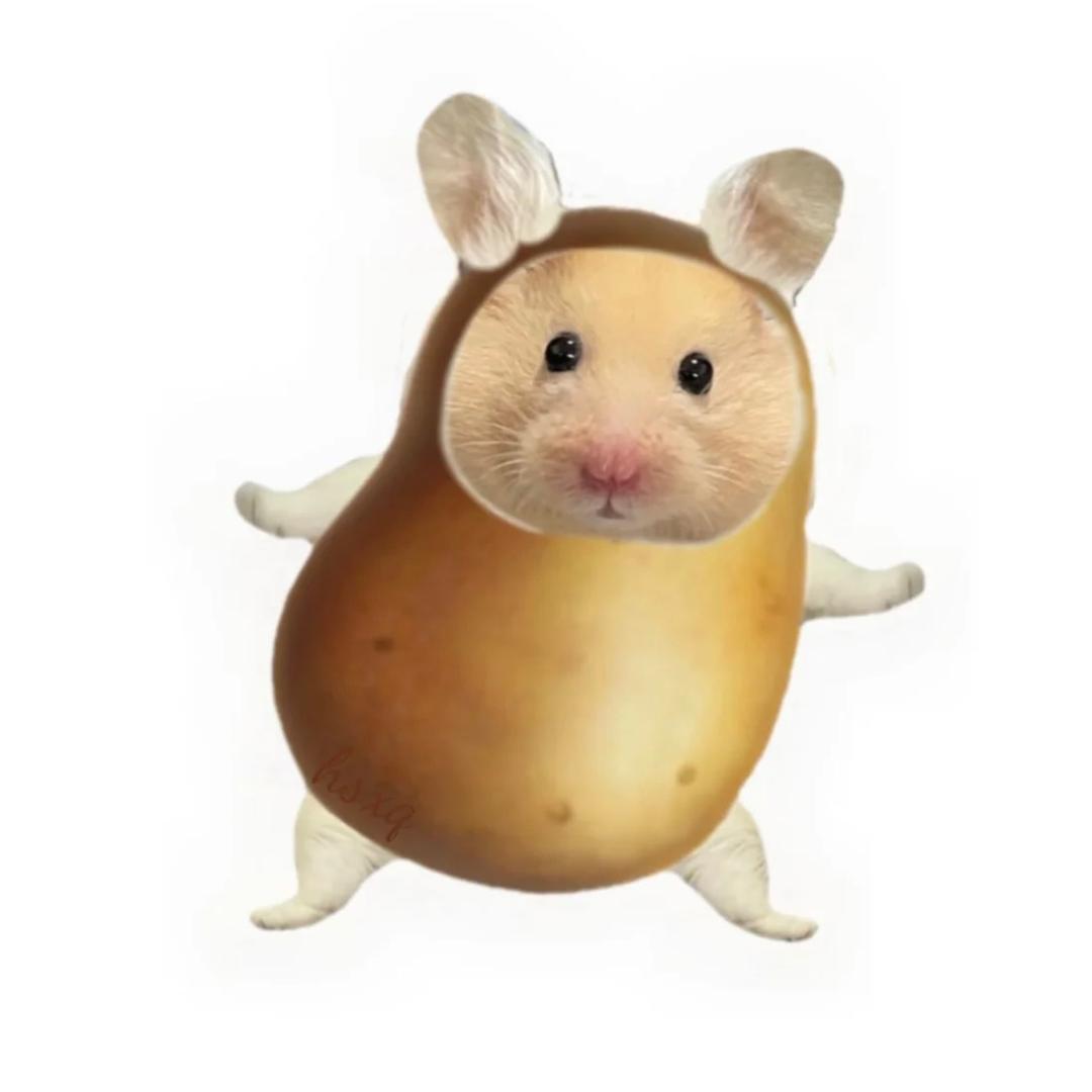 小徐