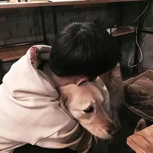 滋诺宠物