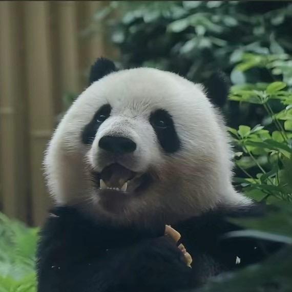 路过…