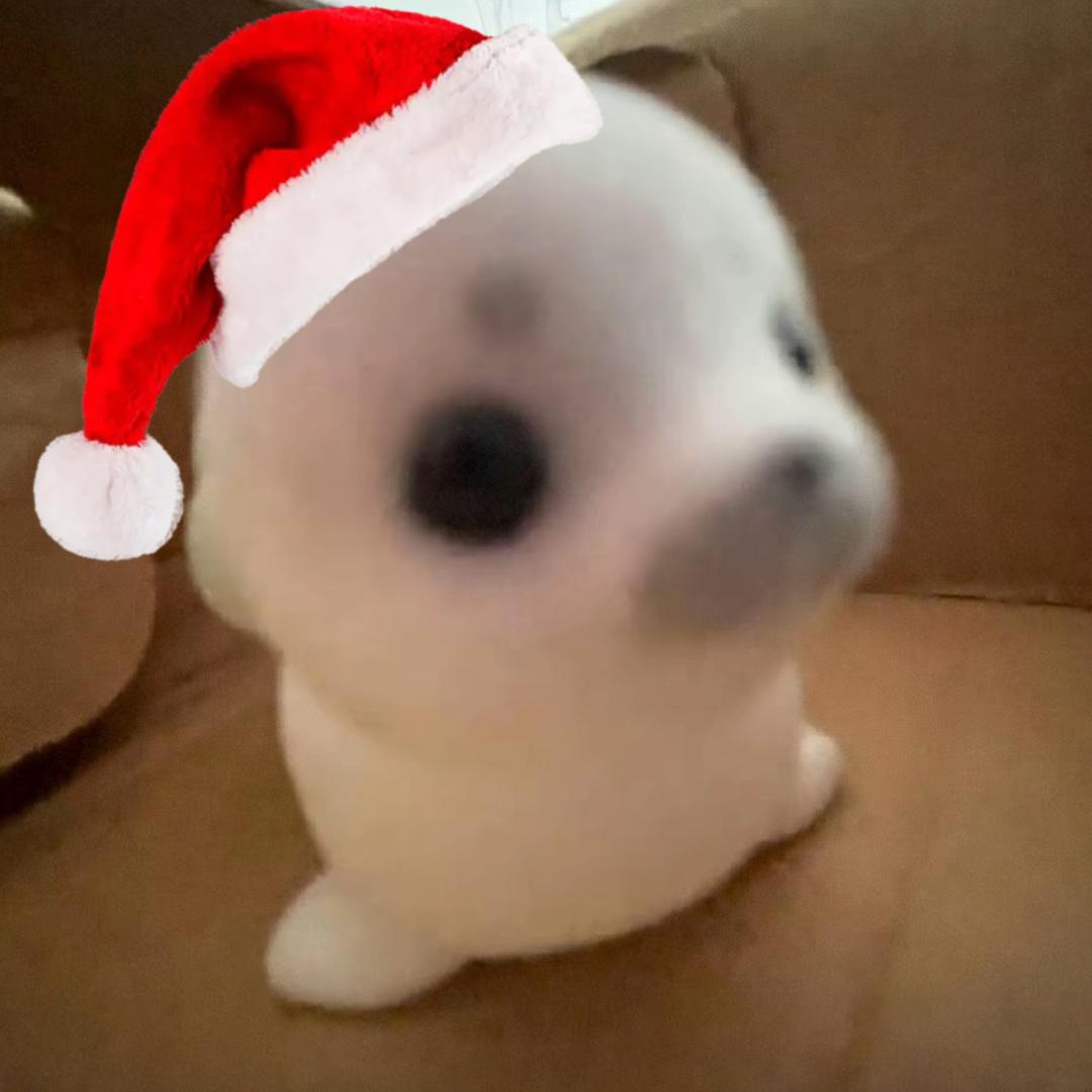 凌晨三点喂鸡发现老公在和男小三私会