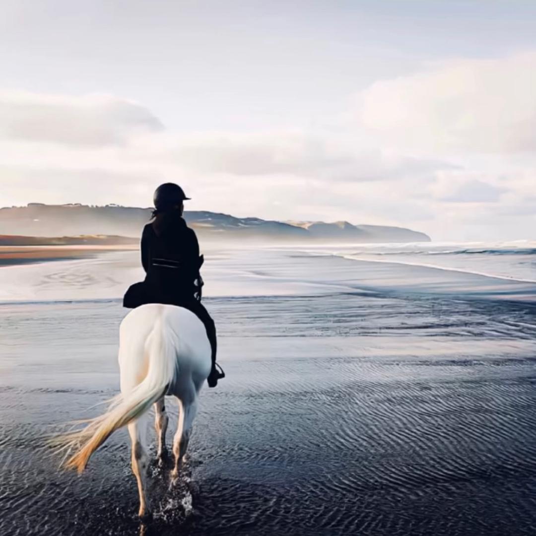 ￰ㅤ￰ㅤ￰ㅤ￰ㅤ