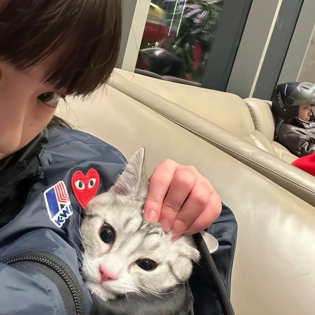 佩奇^