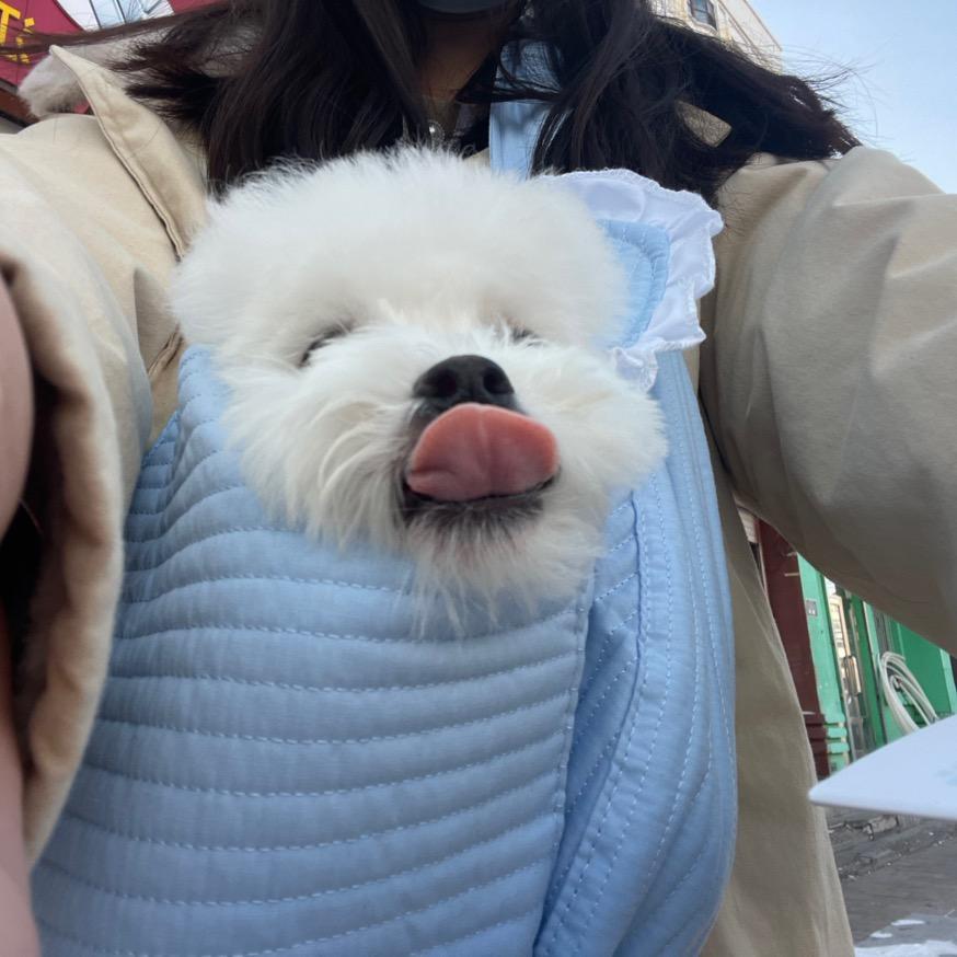 娴子