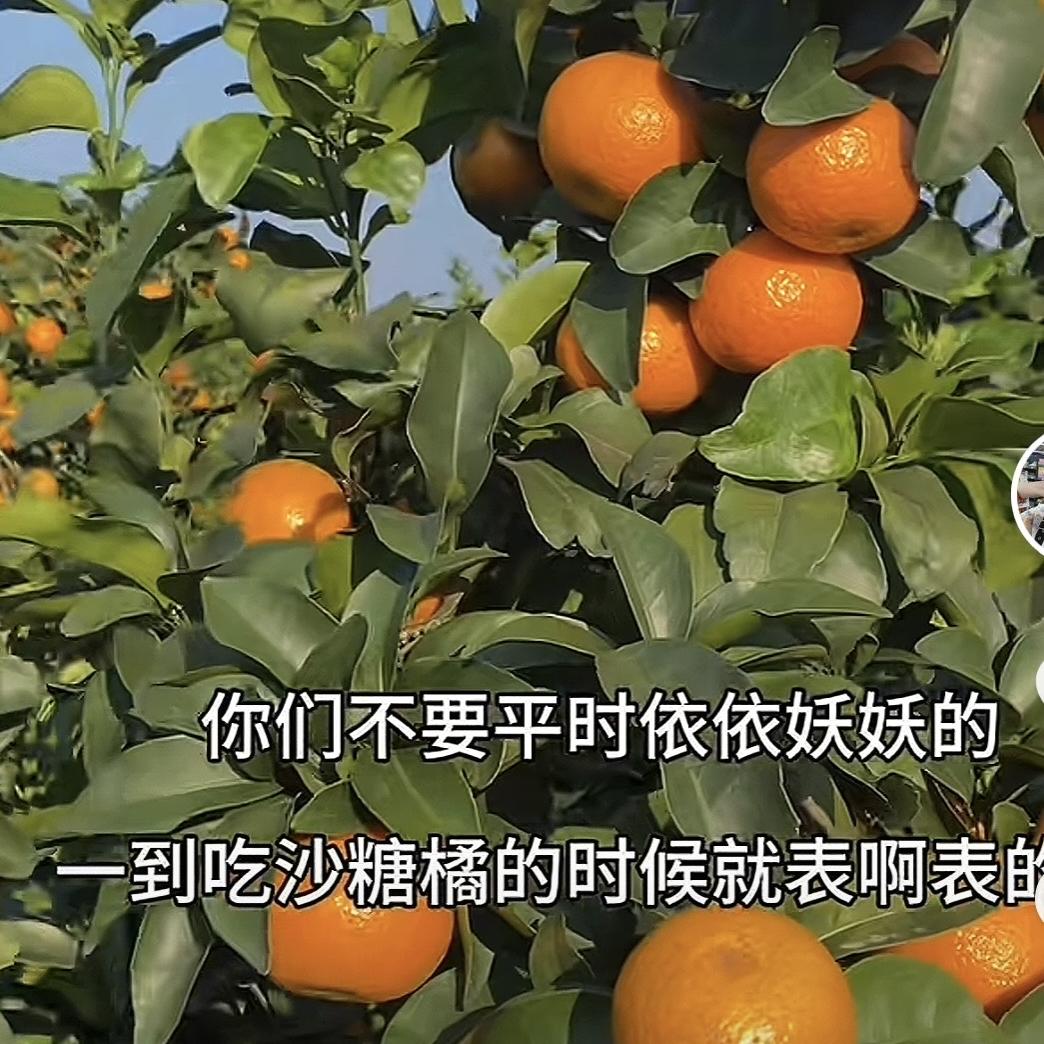 岑溪果乐园鲜货铺子