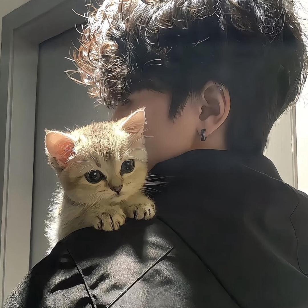 星尘✨