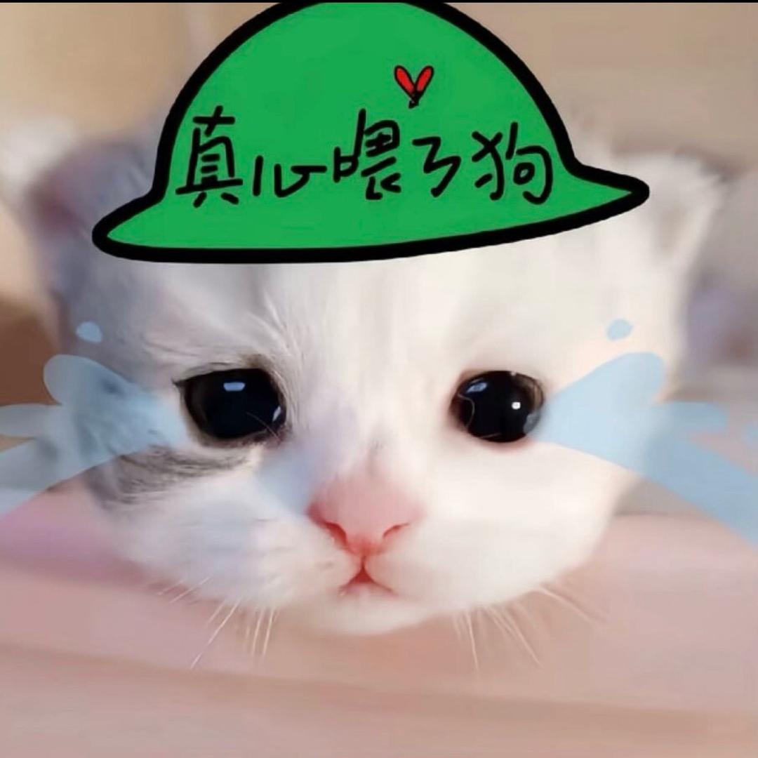 竹