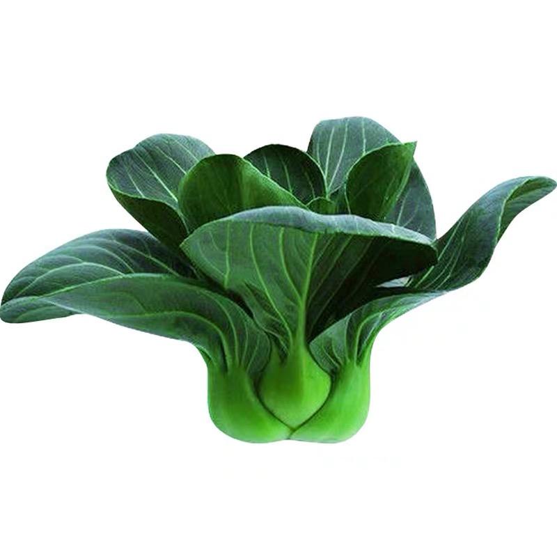 领晟种木场(达人专享)