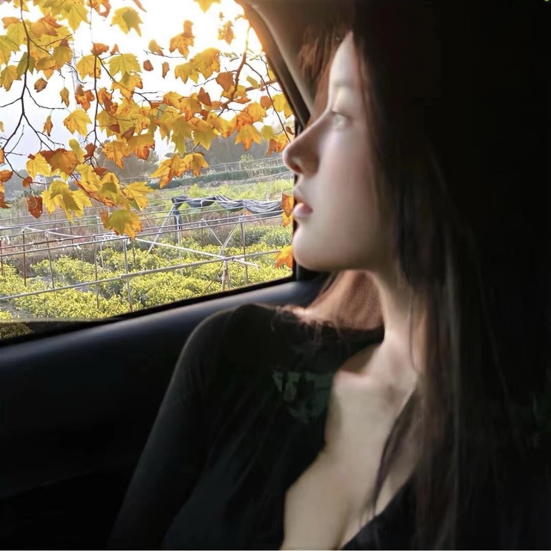 -董小姐