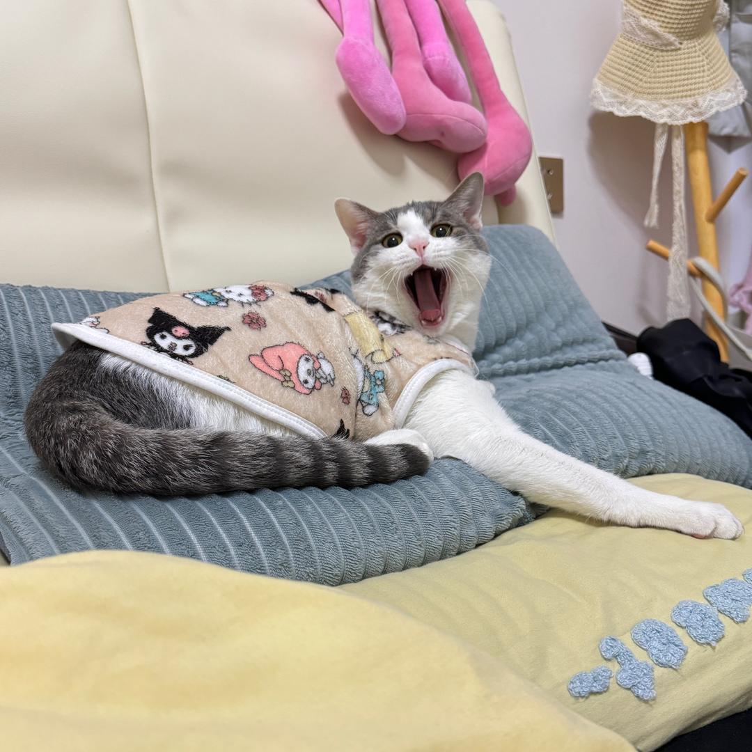 少吃1口8