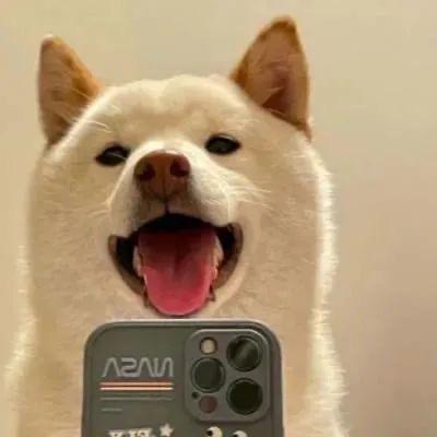 陈同学很有货