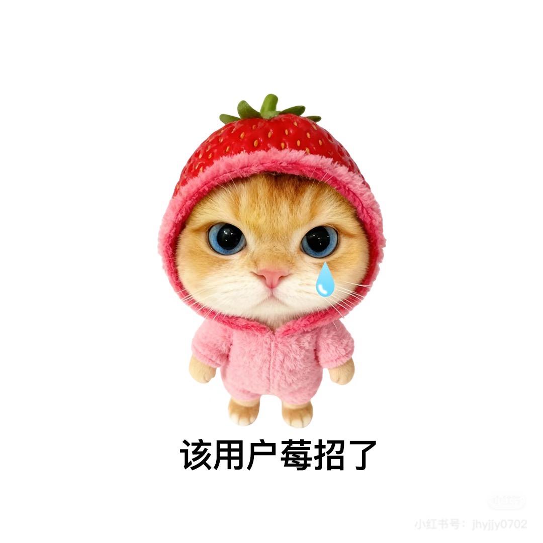 第一我不叫魏女士