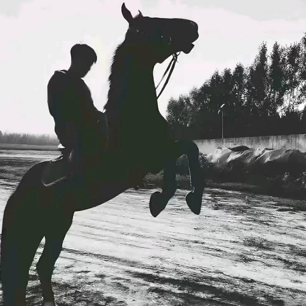 讲情话
