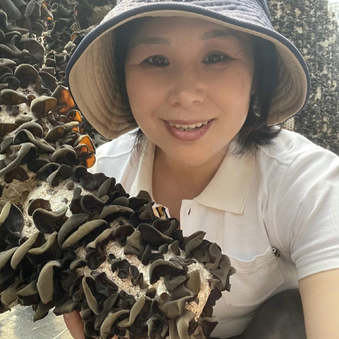 林都田姐山特产
