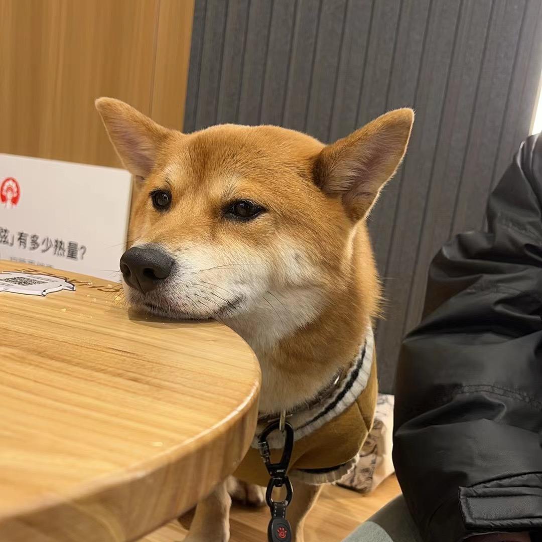 小憨憨😉