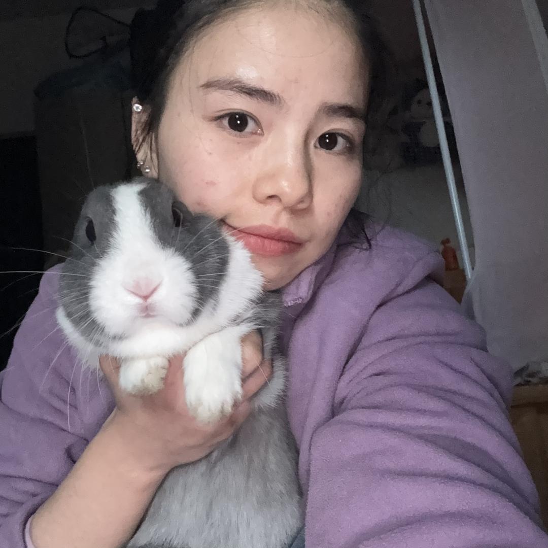 萍盖有🐇叫来福
